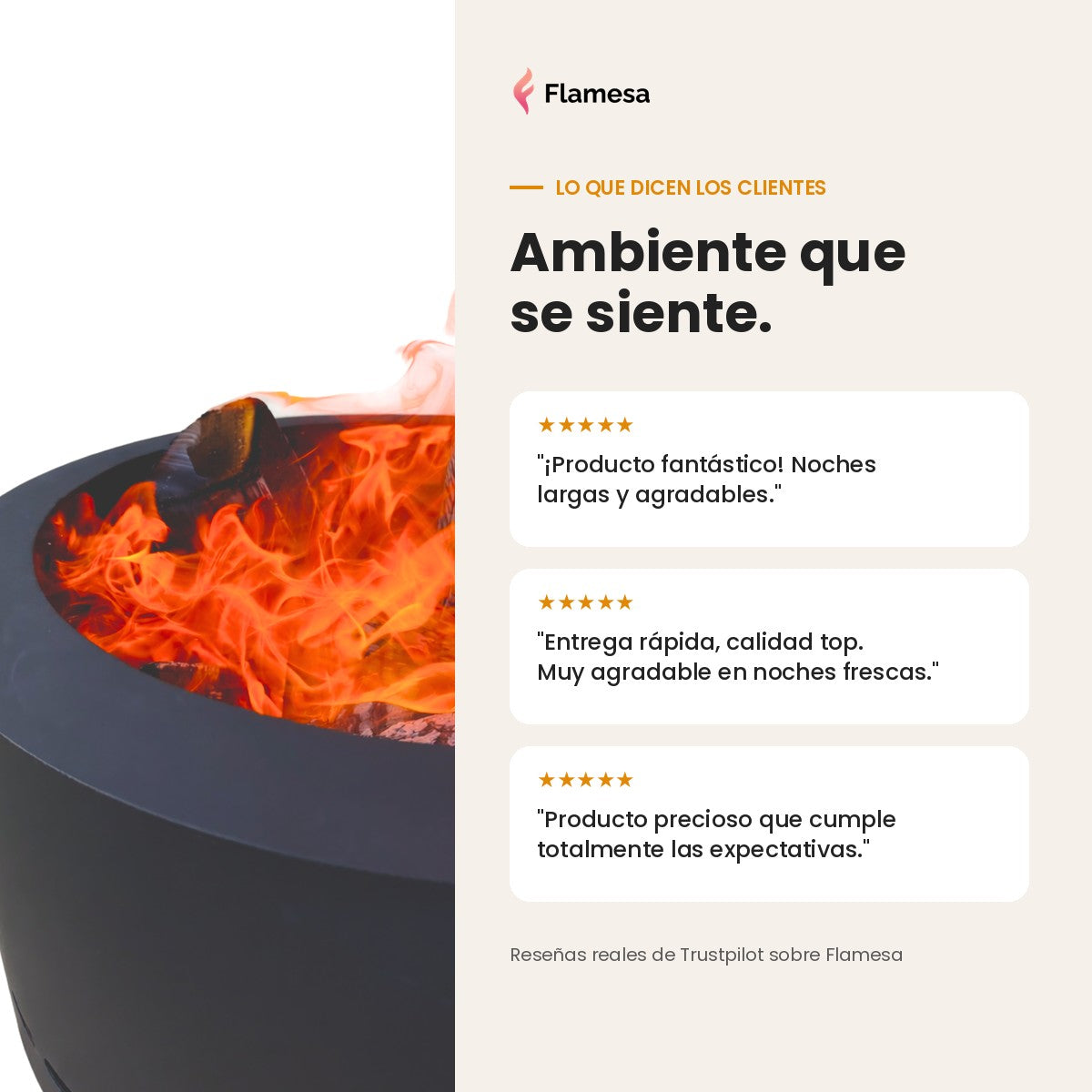 Flamesa Flame: presentación de opiniones de clientes